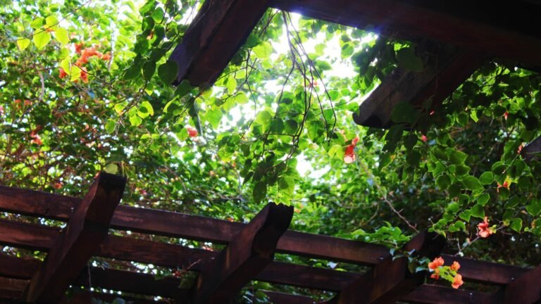 Pérgola Bioclimática vs Pérgola de Aluminio: Cuál Elegir