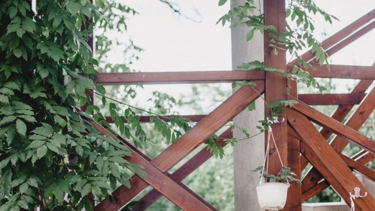 Plantas para Terrazas y Balcones Pequeños