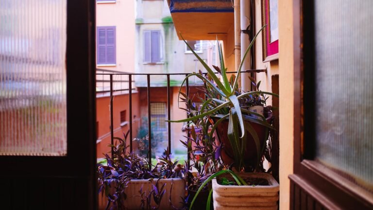 Plantas Colgantes para Terrazas y Balcones
