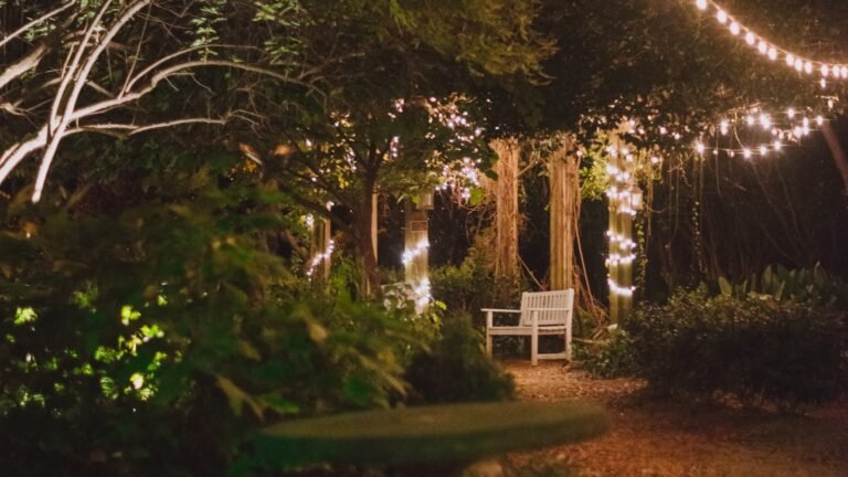 Guirnaldas de Luces LED para Terraza: Guía y Las Mejores