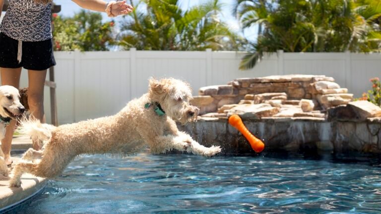 Qué Tamaño de Piscina Desmontable Necesito Según mi Jardín