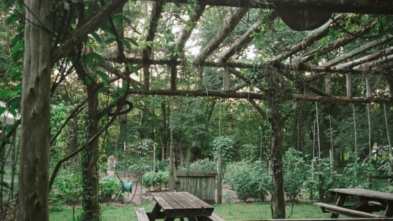 Sombrilla, Toldo o Pérgola: Cuál Elegir para tu Terraza