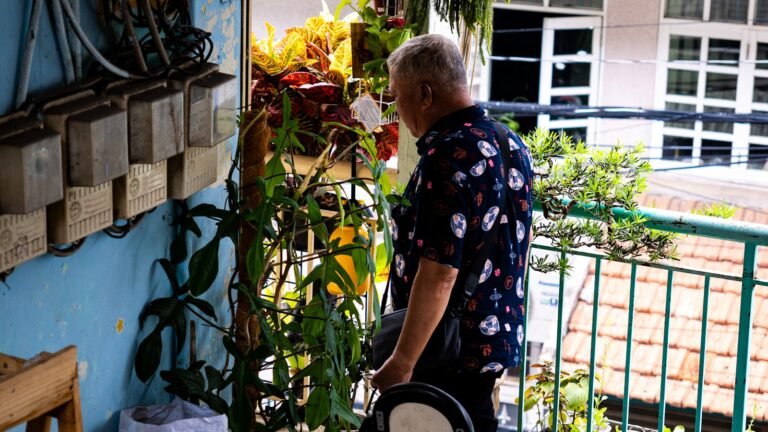 Riego Automático para Plantas de Terraza: Guía de Compra