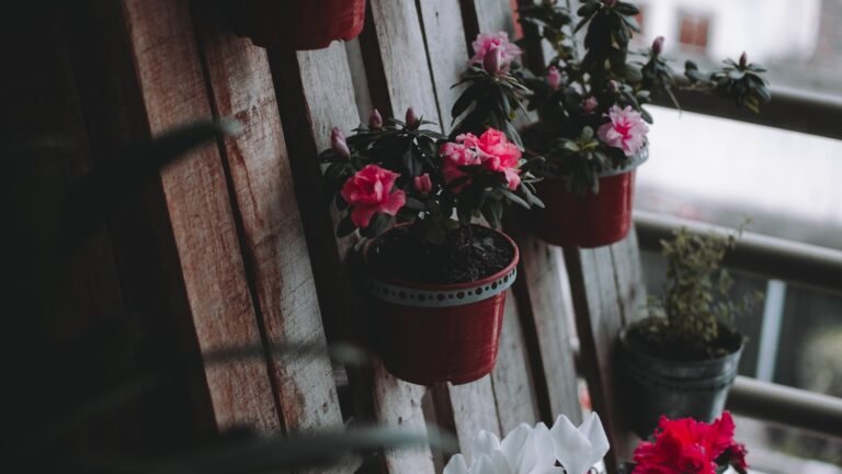 Cómo Trasplantar tus Plantas a una Maceta Más Grande