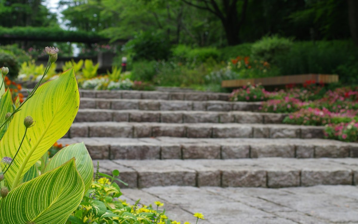 Escalones de piedra integrados en un jardín con desnivel