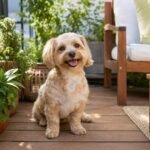 Perro pequeño en una terraza rodeado de plantas