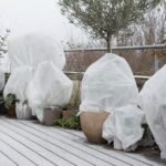 Plantas de terraza cubiertas con manta térmica antiheladas para protegerlas del frío