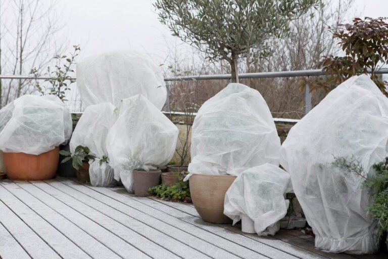Plantas de terraza cubiertas con manta térmica antiheladas para protegerlas del frío
