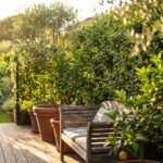 Terraza con seto de plantas y macetas de barro que crean privacidad natural